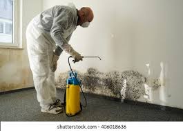 Why You Should Choose Our Mold Remediation Services in Rogers, TX